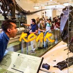 Meet your Posher, Andy